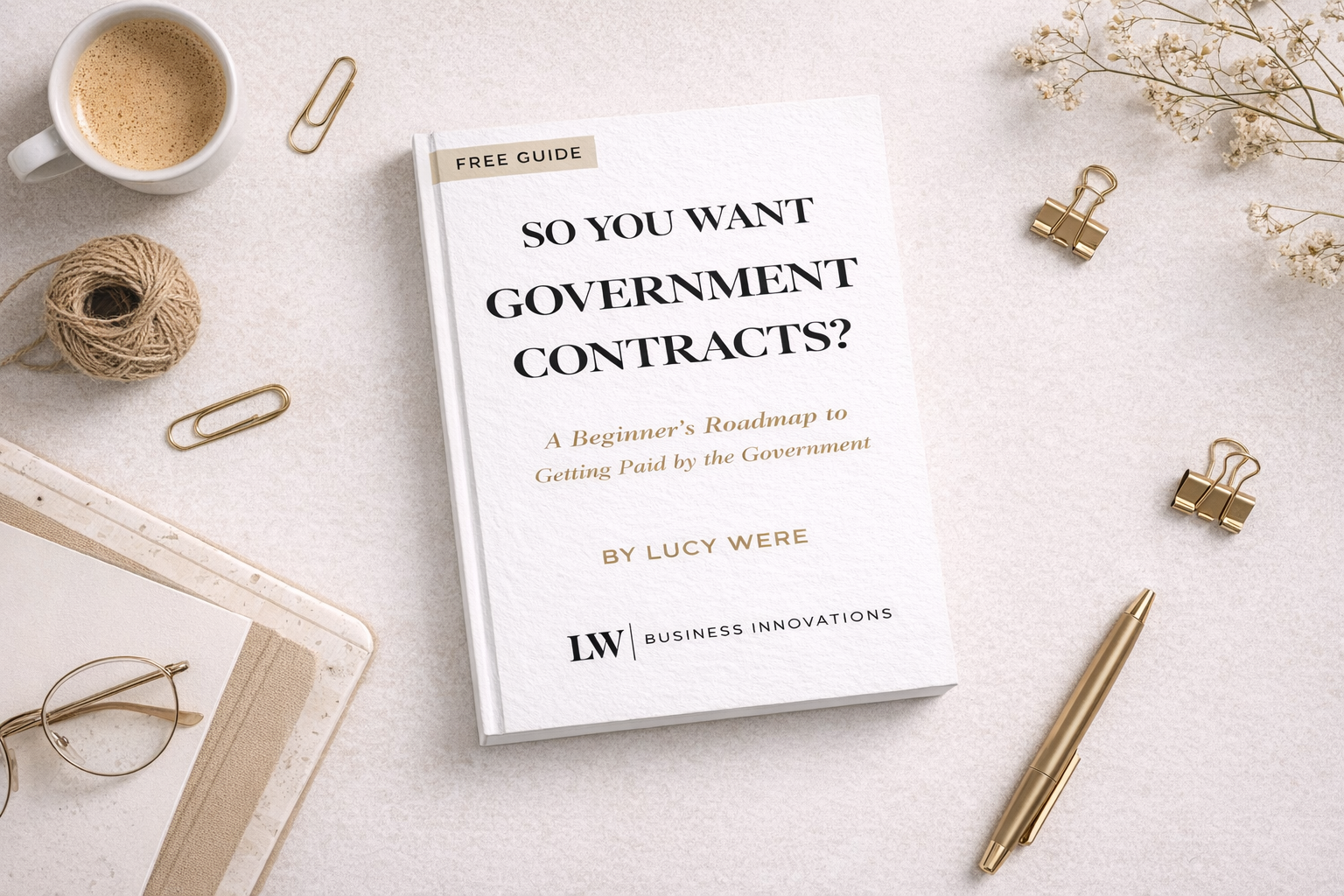 So You Want Government Contracts — free guide